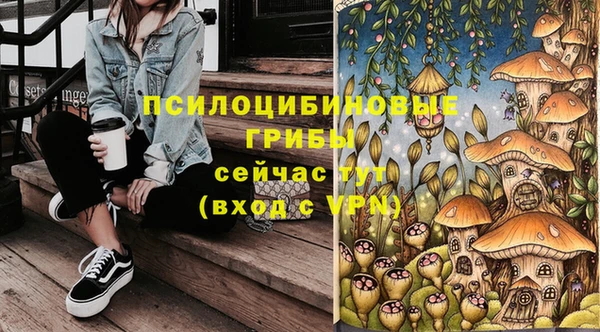 ешки Арсеньев
