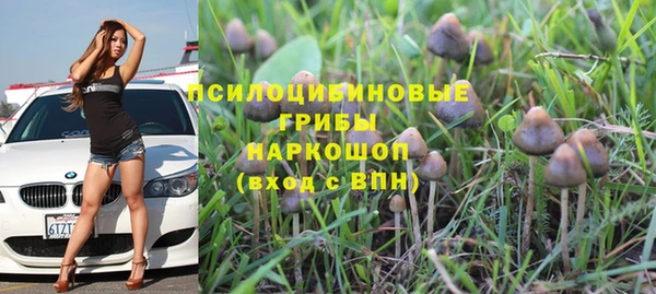 ешки Арсеньев