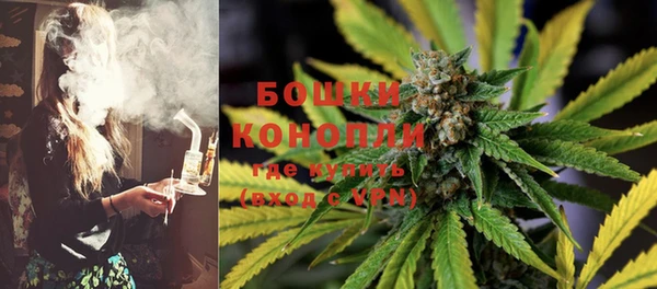 ешки Арсеньев